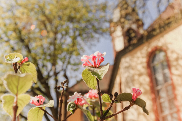 Familien­gottesdienst und Sommerfest